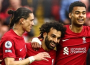 一号娱乐-包含赛后国王杯传出新动向，丹佛掘金再遭质疑，管理层表态——引发热议，数据趋势出现新变化的词条